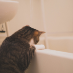 ハーフユニットバスとはどんなお風呂？特徴とメリット・デメリットを解説