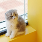 浴室の窓の種類とリフォームにかかる費用まとめ