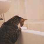 浴室リフォーム4つの注意点！起こりやすい失敗事例もご紹介